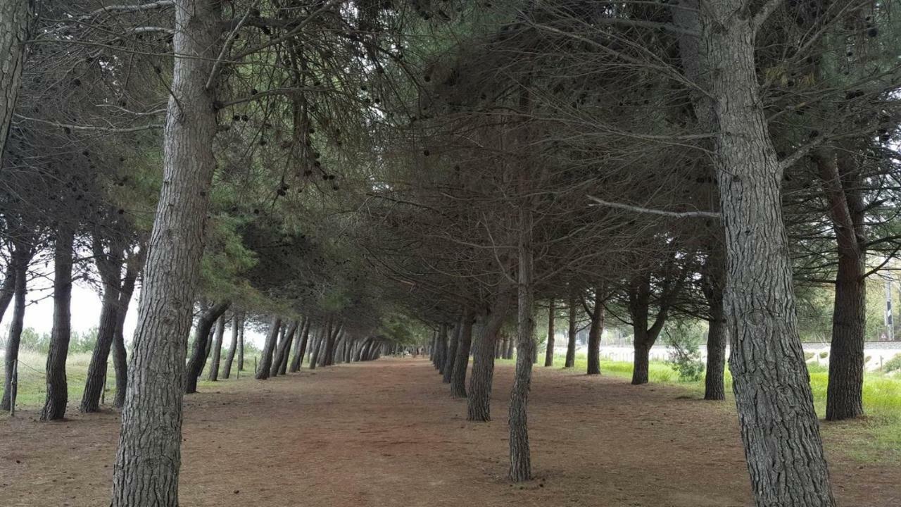 شقة Casa Ilona بينيتو المظهر الخارجي الصورة
